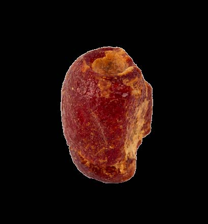 1. storočie pred Kristom