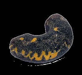 1. storočie pred Kristom