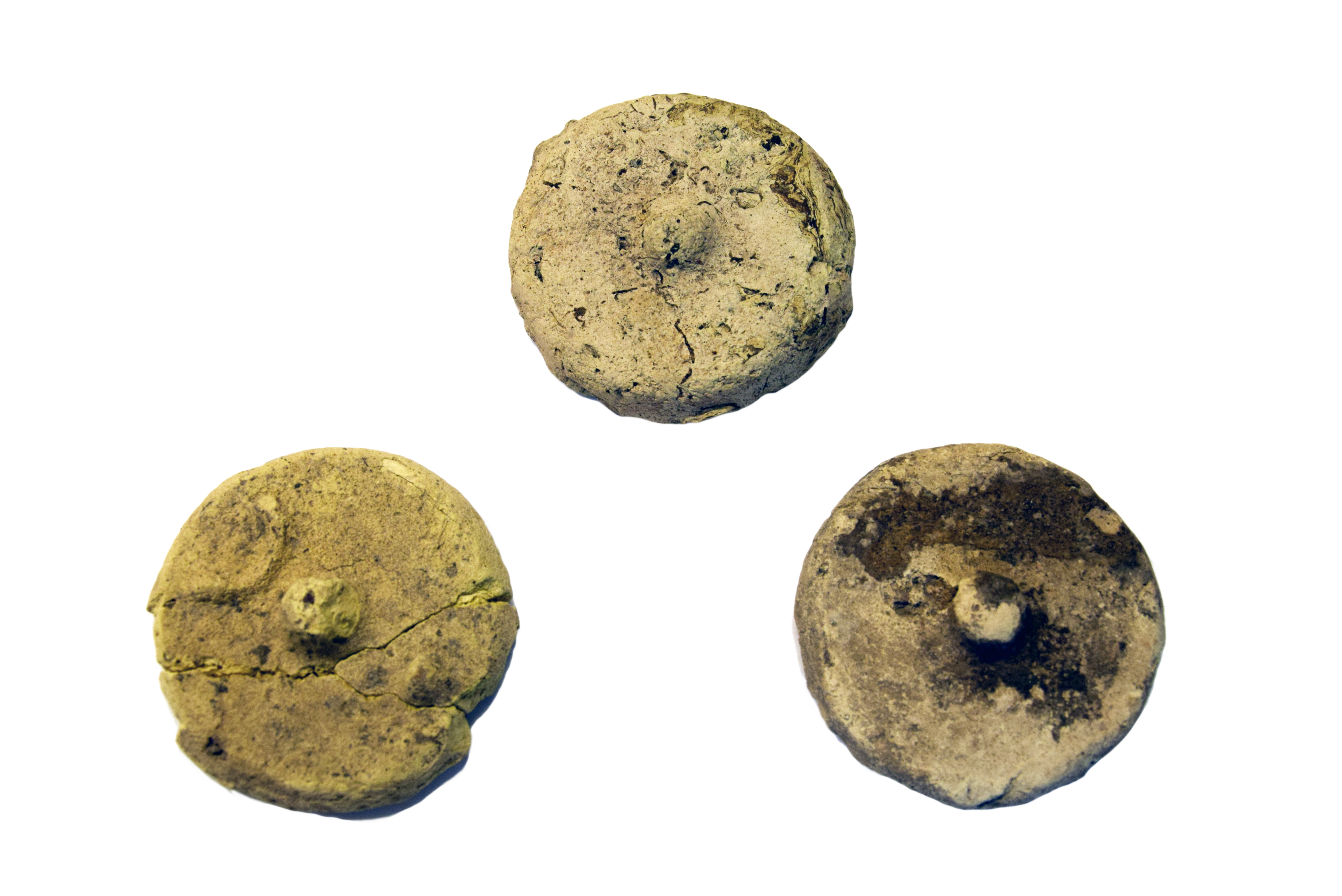 1. storočie pred Kristom